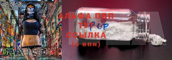 сатива Абдулино