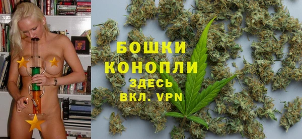 сатива Абдулино
