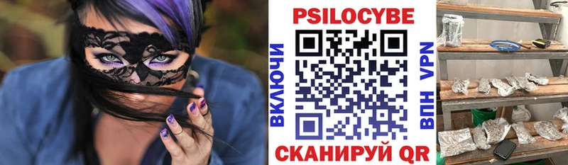Галлюциногенные грибы Psilocybine cubensis нарко площадка телеграм Поворино продажа наркотиков